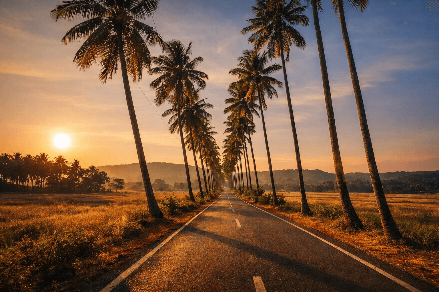 Parra Road (Dear Zindagi Road)
